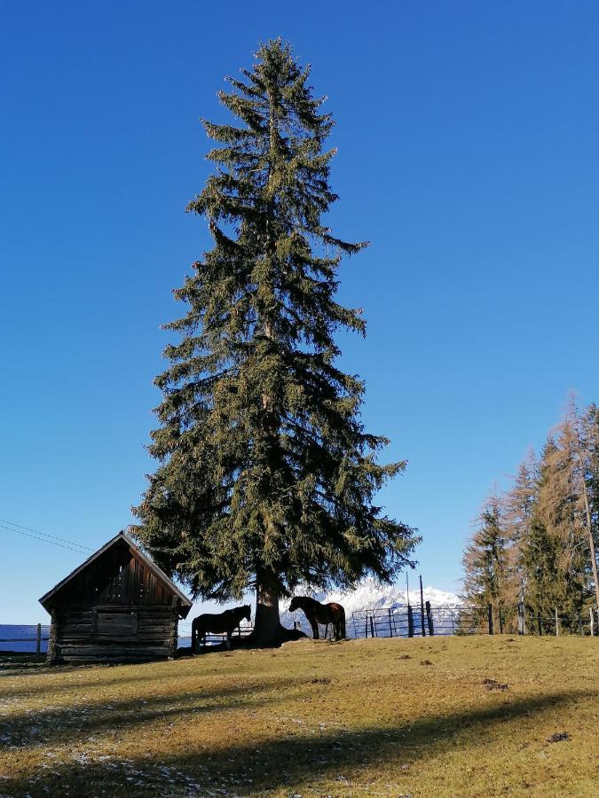 Ferienhaus Bichlhuette Pruggern Extérieur photo