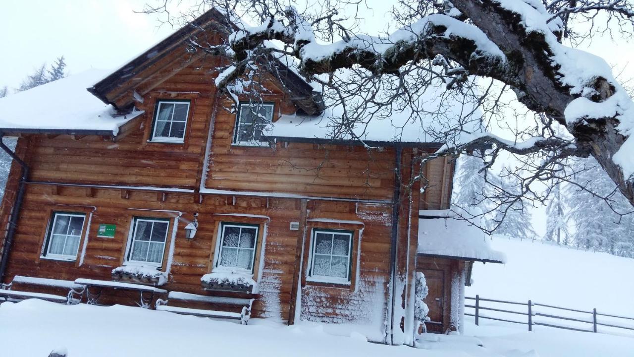 Ferienhaus Bichlhuette Pruggern Extérieur photo