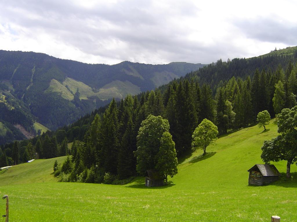 Ferienhaus Bichlhuette Pruggern Chambre photo