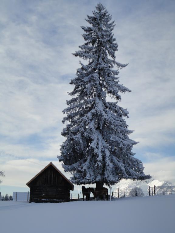 Ferienhaus Bichlhuette Pruggern Chambre photo