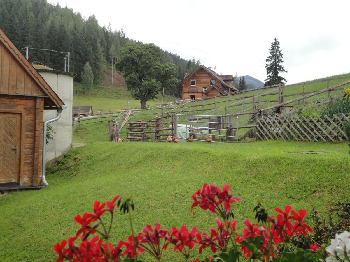 Ferienhaus Bichlhuette Pruggern Extérieur photo